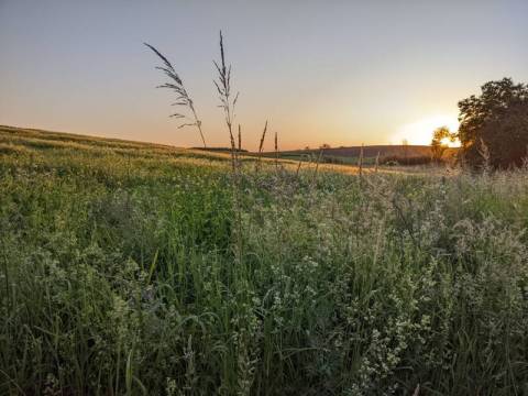 По Україні з боку РФ випущено понад 90 безпілотних апаратів