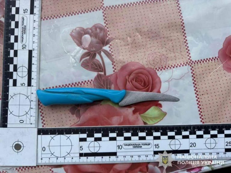 На Львівщині чоловік постане перед судом за напад із ножем на матір партнерки