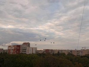 Недільне небо Львова в яскравих барвах (ФОТО)