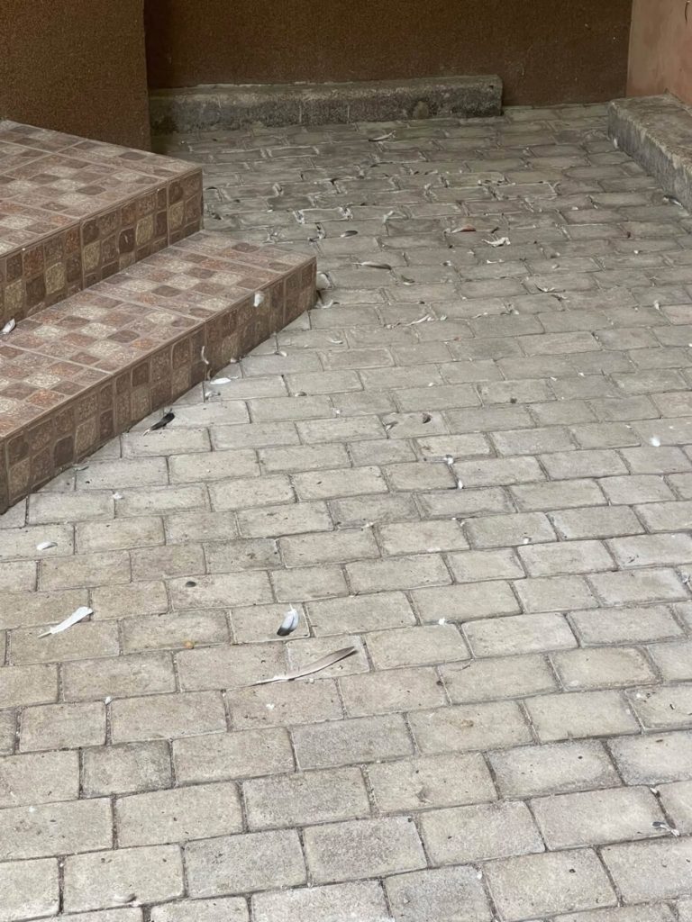 Серце Львова завалене сміттям через бездіяльність комунальників Садового