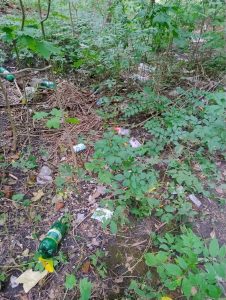 Сміття окупувало львівський парк