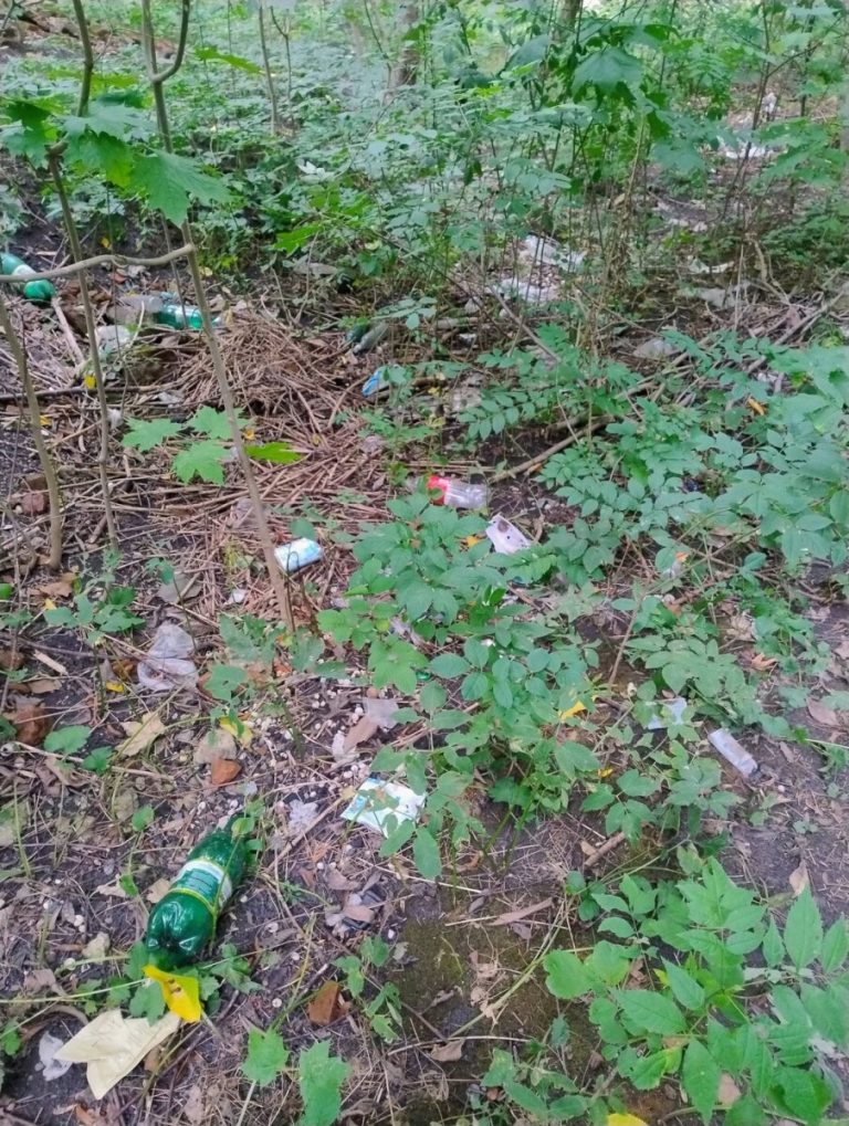 Сміття окупувало львівський парк