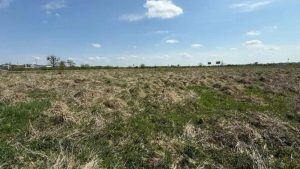 Аукціон у Львові: продаж земельних ділянок для бізнесу, готелю та офісів
