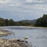 Навіть після дощів рівень води у річках Львівщини залишається критично низьким