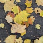 Прогноз погоди на вихідні: від +18 до +20°C