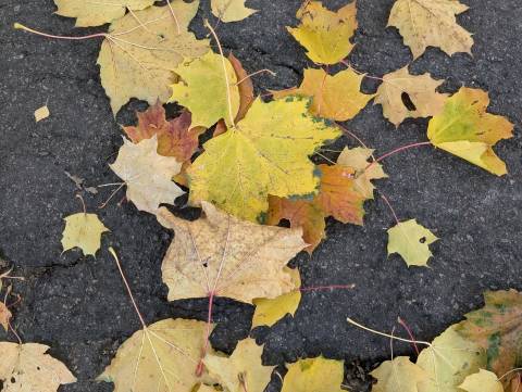 Прогноз погоди на вихідні: від +18 до +20°C