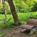 У Львові 29 вересня проведуть обробку парків від кліщів: місця, яких варто уникати під час прогулянки