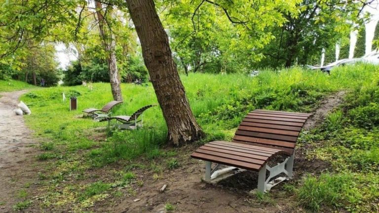 У Львові 29 вересня проведуть обробку парків від кліщів: місця, яких варто уникати під час прогулянки