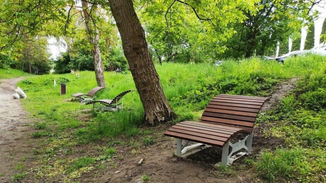 У Львові 29 вересня проведуть обробку парків від кліщів: місця, яких варто уникати під час прогулянки
