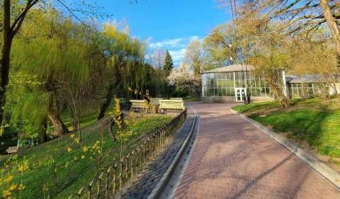 У Львові повідомили, у яких парках здійснять акарицидну обробку проти кліщів