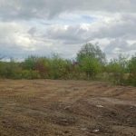 У Ставчанах ліквідували стихійне сміттєзвалище