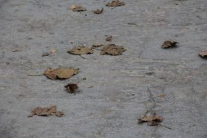 Четвер: короткочасний дощ, повітря прогріється до +26°C