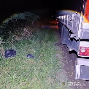 Поблизу Великих Мостів вантажівка врізалася в скутер — водій загинув