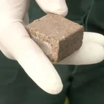 На Львівщині розпочали масову вакцинацію диких тварин проти сказу
