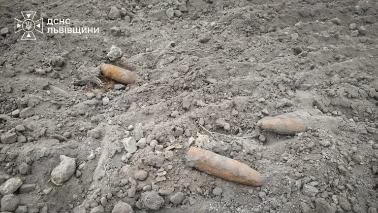 На Львівщині в селі Виписки ліквідували небезпечні артснаряди часів Другої світової