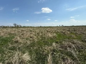 Продаж пʼяти земельних ділянок у Львові та селі Малі Підліски через аукціон