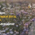 У Львові влітку 12 разів фіксували перевищення максимальних температур