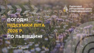 У Львові влітку 12 разів фіксували перевищення максимальних температур