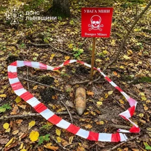 Львівські грибники виявили два вибухонебезпечні предмети часів Другої світової війни