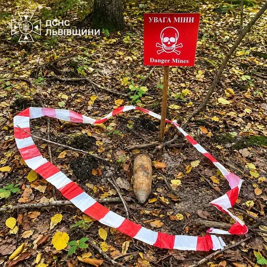 Львівські грибники виявили два вибухонебезпечні предмети часів Другої світової війни