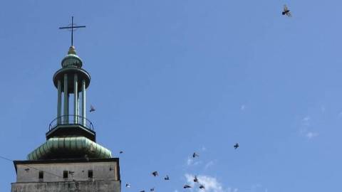 Більше 200 дронів випустили по Україні російські загарбники