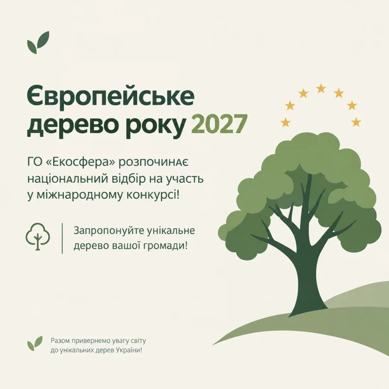 Громади Львівщини запрошують подати дерева для конкурсу «Європейське дерево року 2027»