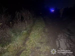 На Яворівщині сталася смертельна ДТП за участю Toyota RAV4 з постраждалими