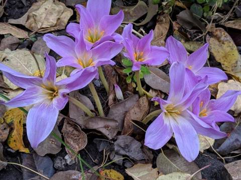 Оновлені курси валют у Львові станом на 21 жовтня