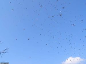 Під час російського обстрілу біля Львова у Дублянах травмувався чоловік