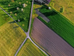 Продаж семи земельних ділянок у громадах області оголошено відкритим