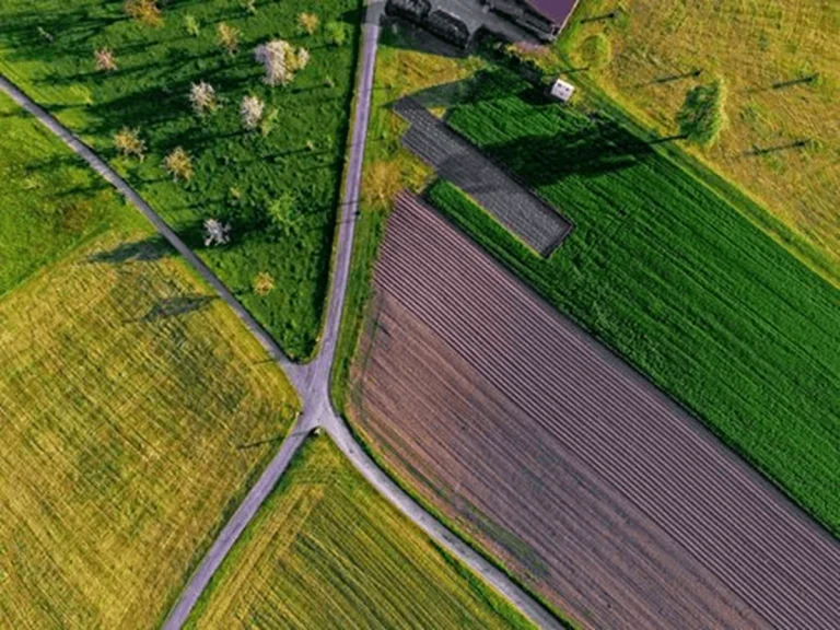 Продаж семи земельних ділянок у громадах області оголошено відкритим