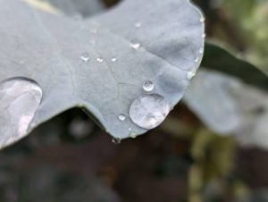 Прогноз погоди на вівторок: очікується дощ та +14°C