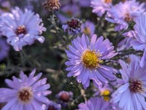 Прогноз погоди на вівторок: сухо, вдень до +16°C