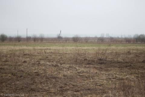 Суд поновив права Львова на дві земельні ділянки в Рясне-Руському