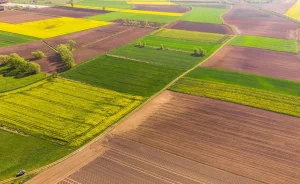 У Перемишлянській громаді оголосили продаж двох земельних ділянок