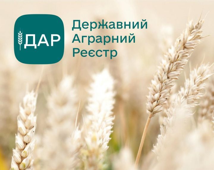 В УДАРі відновили прийом заявок на статус критично важливих аграрних підприємств: що нового