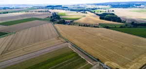Жовківська і Новокалинівська громади оголосили земельні ділянки на торгах